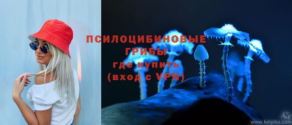 герыч Вяземский