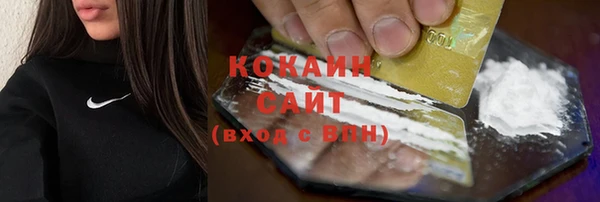 стафф Вязьма