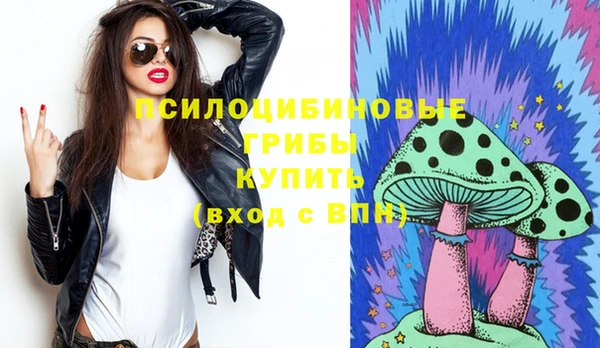 мдма Гусев
